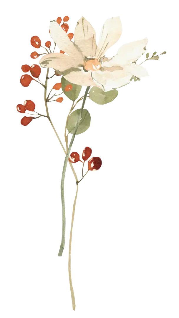 Agencia de Diseño web en Sevilla