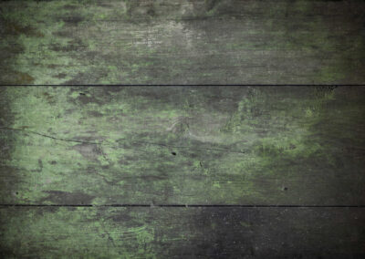 TrenzAlbert - Fábrica de Cordones - Tu Fabrica de Cordones